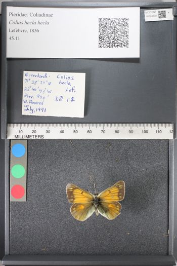 Media type: image;   Entomology 124330